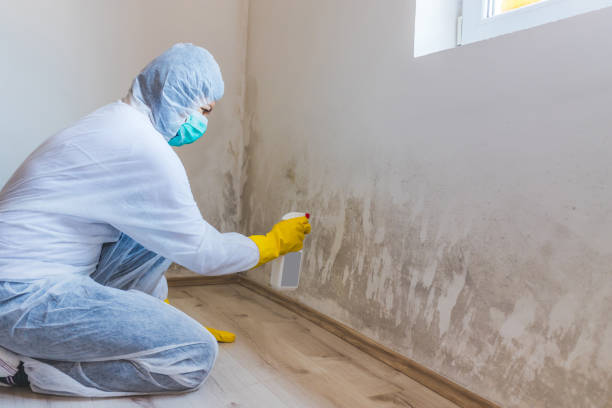 Licensed Crawl Space Mold Removal service in Yeagertown, PA - WQB Mold Removal