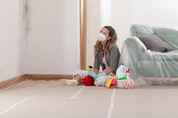 Trusted Crawl Space Mold Removal service in Yeagertown, PA - WQB Mold Removal